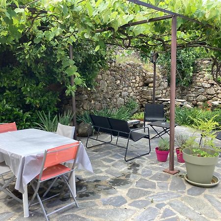 Maison Kyprea: Charmant Appartement /Duplex , Spacieux, Tout Confort Avec Terrasse Exterieure Privee, Parking Privatif , Vue Pittoresque Sur La Citadelle De Corte Et Les Montagnes. Εξωτερικό φωτογραφία